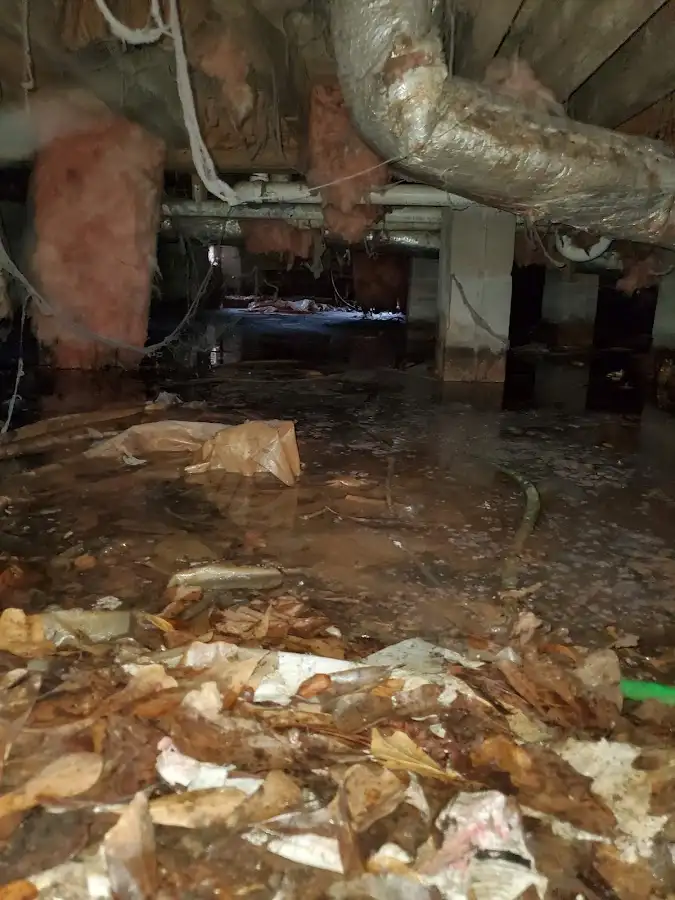Crawl space flood assessment for Commercial Water Damage Restoration in Bowie